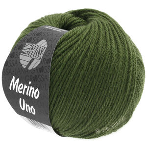 Lana Grossa MERINO UNO | 20-темно-зеленый