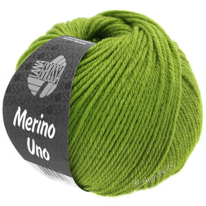 Lana Grossa MERINO UNO | 21-яблочно-зелёный