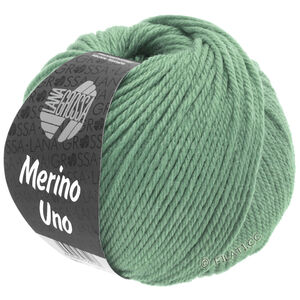Lana Grossa MERINO UNO | 34-резедово-зелёный