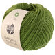 Lana Grossa NATURAL COTTON (GOTS) | 03-зелёный