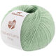 Lana Grossa NATURAL LAMA FINE | 120-мятный