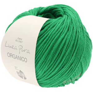 Lana Grossa ORGANICO (Linea Pura) | 129-зелёный