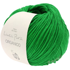 Lana Grossa ORGANICO (Linea Pura) | 163-травянисто-зелёный
