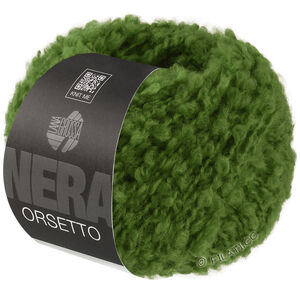Lana Grossa ORSETTO (Nera) | 23-зелёный