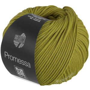 Lana Grossa PROMESSA | 10-фисташковый