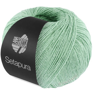 Lana Grossa SETAPURA | 30-бело-зелёный