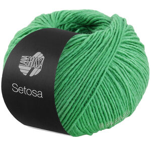 Lana Grossa SETOSA | 16-нефрит