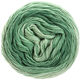 Lana Grossa SLOW WOOL LINO Dégradé | 203-пастельно-зелёный/серо-зелёный/патиново-зелёный
