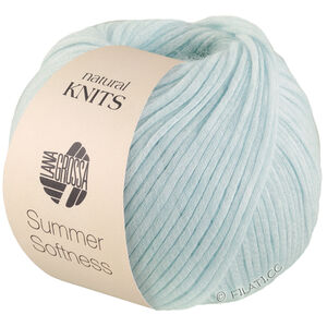Lana Grossa SUMMER SOFTNESS | 17-пастельно-голубой