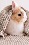 Lana Grossa ПОКРЫВАЛО Cool Wool Baby
