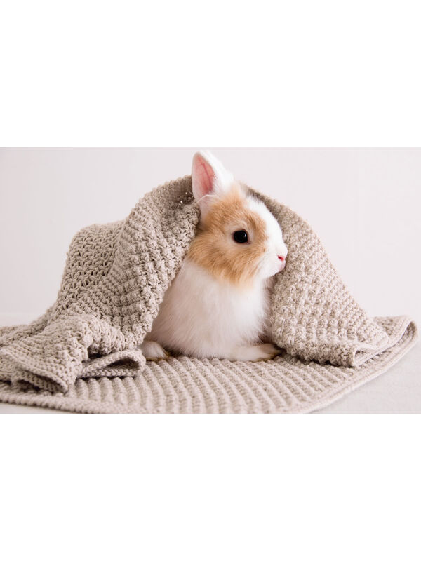 Lana Grossa ПОКРЫВАЛО Cool Wool Baby