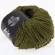 Lana Grossa ARIA | 21-оливковый