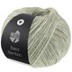 Lana Grossa BACO BAMBOO | 06-зелёно-бежевый