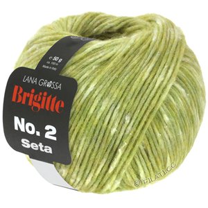 Lana Grossa BRIGITTE NO. 2 Seta | 05-светло-зелёный меланжевый