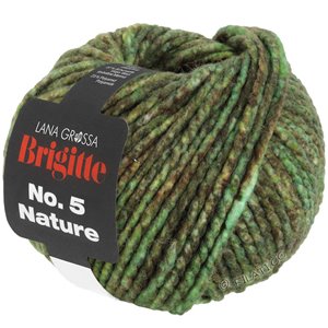 Lana Grossa BRIGITTE NO. 5 Nature | 103-зелёный/коричневый меланжевый
