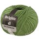 Lana Grossa BRIGITTE Silkdream | 19-зелёный
