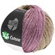 Lana Grossa 365 COTONE Dégradé | 109-бежевый/коричневый/красная фиалка