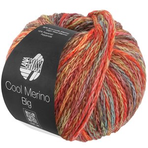 Lana Grossa COOL MERINO Big Color | 402-серо-зеленый/красный/жёлтый/мята/коричневый/розовое дерево