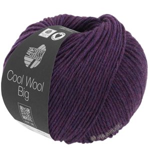 Lana Grossa COOL WOOL Big Mélange (We Care) | 1604-тёмно-фиолетовый меланжевый