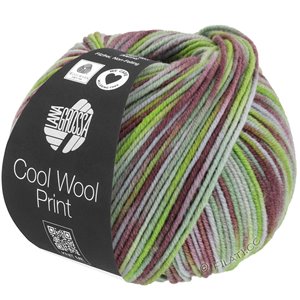 Lana Grossa COOL WOOL  Print | 828-светло-зелёный/зелёный/старо-фиолетовый/светло-серый