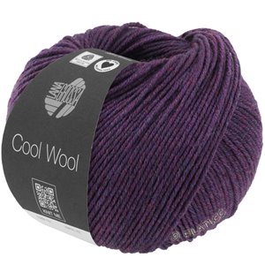 Lana Grossa COOL WOOL Mélange (We Care) | 1403-тёмно-фиолетовый меланжевый