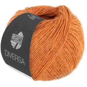 Lana Grossa DIVERSA | 21-оранжевый