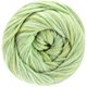 Lana Grossa ECCO | 003-светло-зелёный