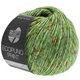 Lana Grossa ECOPUNO Print | 108-зелёный многоцветный