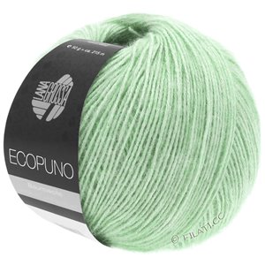 Lana Grossa ECOPUNO | 38-зеленый пастель