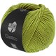 Lana Grossa ELASTICO | 202-фисташковый