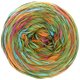 Lana Grossa GOMITOLO DENIM GRAFFITI | 352-зелёный/оранжевый/фуксия/бирюзовый/оливковый