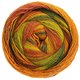 Lana Grossa GOMITOLO MOLTO | 616-пастельно-зелёный/светло-зелёный/тёмно-зелёный/красно-коричневый/коричного -оранжевый