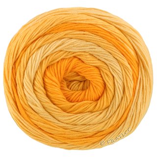 Lana Grossa GOMITOLO TONO
