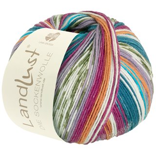Lana Grossa LANDLUST DIE SOCKENWOLLE 150g 6-Ply