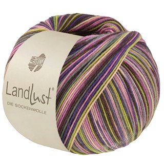 Lana Grossa LANDLUST DIE SOCKENWOLLE SEIDE PRINT