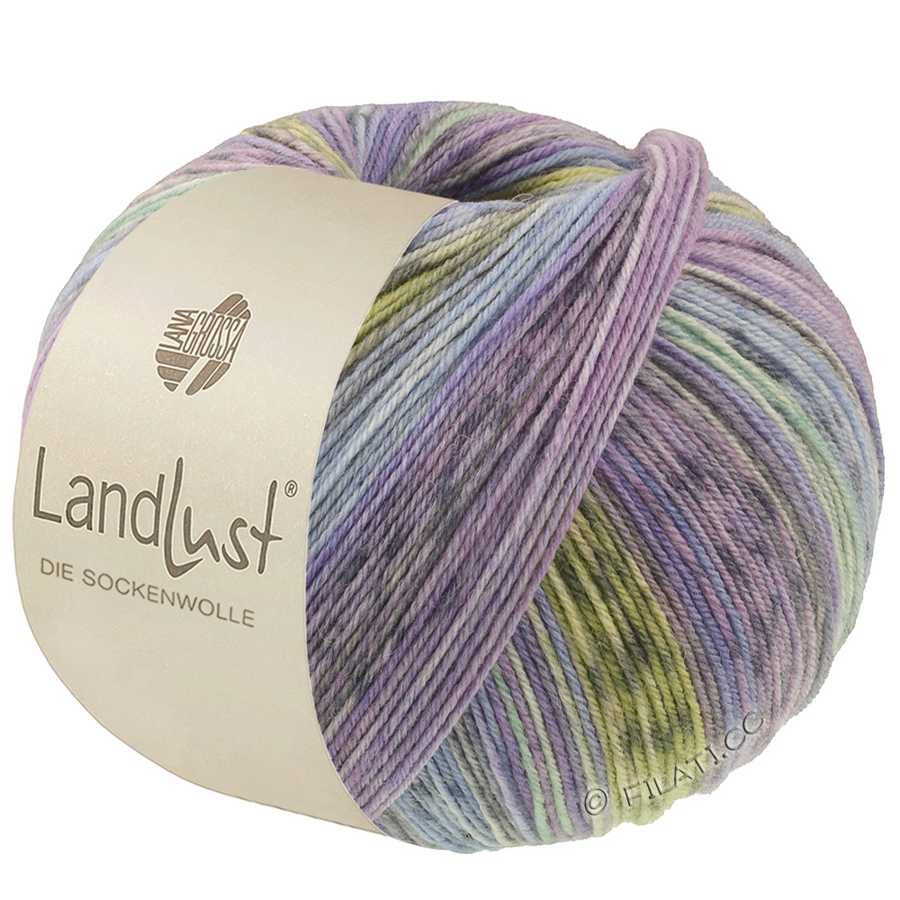 Lana Grossa LANDLUST DIE SOCKENWOLLE | 618-