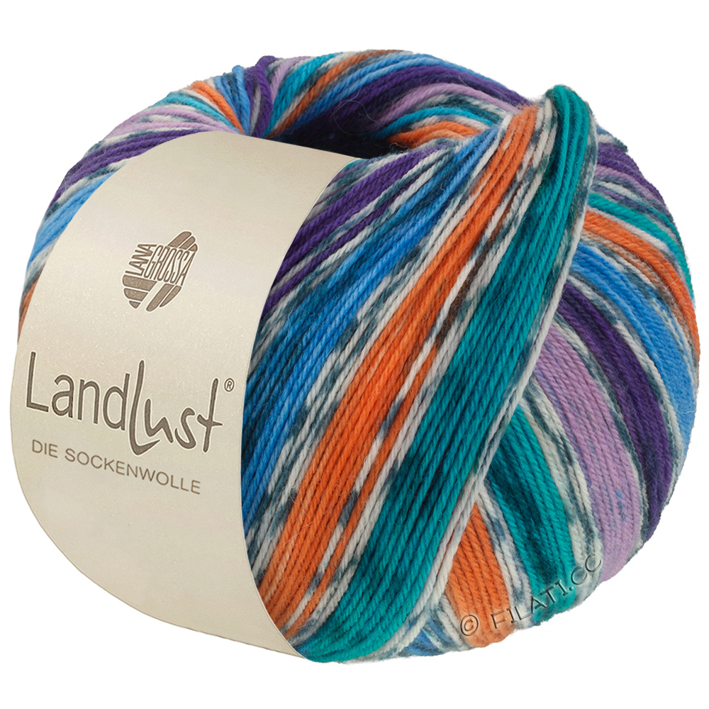 Lana Grossa LANDLUST DIE SOCKENWOLLE | 821-