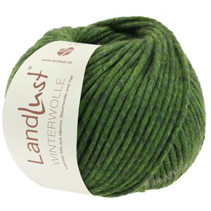 Lana Grossa LANDLUST WINTERWOLLE | 14-мох зеленый  меланжевый