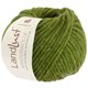 Lana Grossa LANDLUST WINTERWOLLE | 36-зелёное яблоко меланжевый