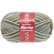 Lana Grossa MEILENWEIT 6-FACH 150g Merino Print | 9176-