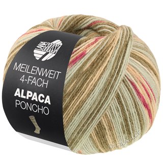 Lana Grossa MEILENWEIT 100g Alpaca Poncho