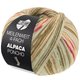 Lana Grossa MEILENWEIT 100g Alpaca Poncho | 2721-