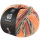 Lana Grossa MEILENWEIT 100g Cashmere Pista | 141-оранжевый/светло-серый/тёмно-серый/коричнево-оранжевый/светло-зелёный/вереск/ежевичный/серо-коричневый в полоску