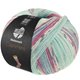 Lana Grossa MEILENWEIT 100g Cashmere Pista | 142-мята/бирюзовый/белый/серый/голубой/фуксия в полоску