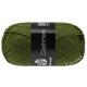 Lana Grossa MEILENWEIT 50g Cashmere | 77-мшисто-зелёный