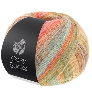 Lana Grossa MEILENWEIT 100g Cosy Socks Dream