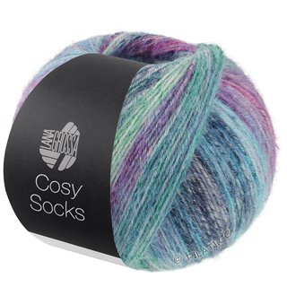 Lana Grossa MEILENWEIT 100g Cosy Socks Dream