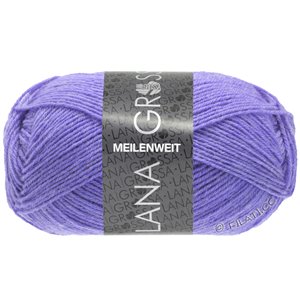 Lana Grossa MEILENWEIT 50g | 1399-ярко фиолетовый