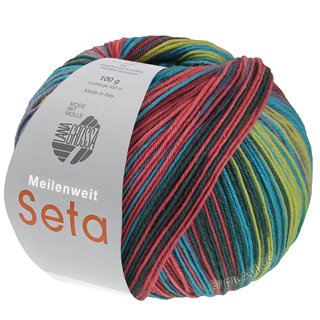 Lana Grossa MEILENWEIT 100g Seta Asia