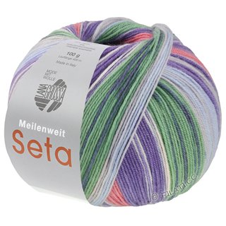 Lana Grossa MEILENWEIT 100g Seta Hokkaido